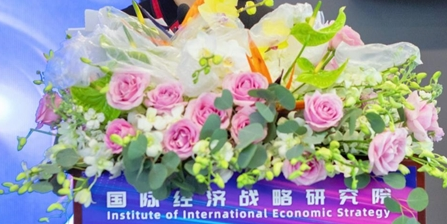 国际经济战略研究院在京